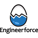 Engineer force