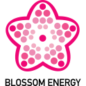 Blossom Energy